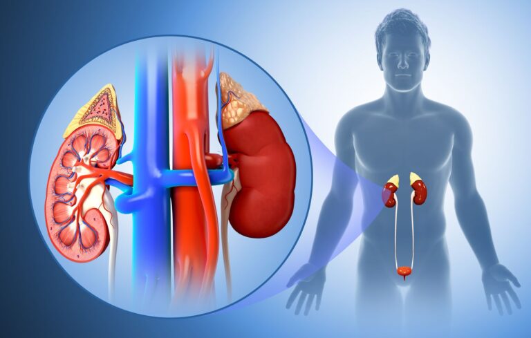 Book Kidney function test (kft)